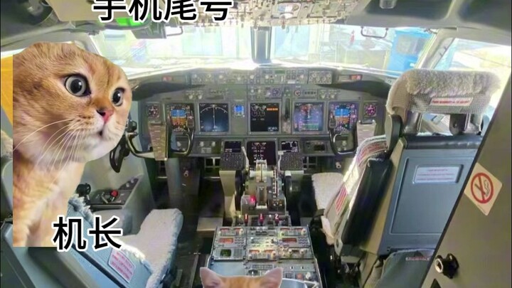 Is the captain driving for Didi as a side job?