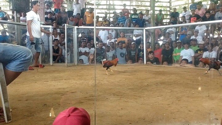 1st time win mayahin vs dalusapi Alabat Cockpit