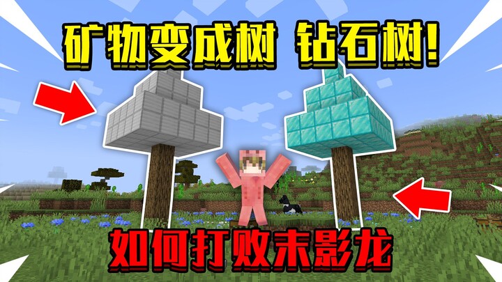 Khi khoáng sản trong Minecraft biến thành cây! Có cây kim cương, làm sao đánh bại Ender Dragon?