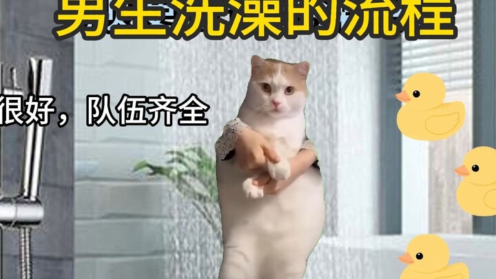 [Cat Meme] A Guy’s Shower Adventure~