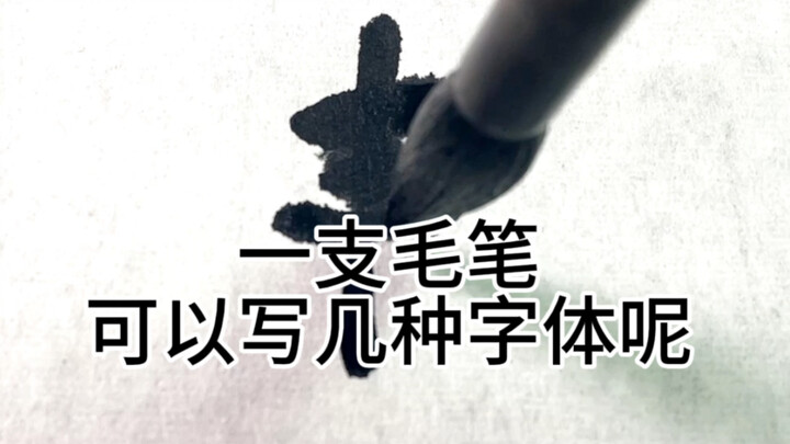 พู่กันหนึ่งด้ามสามารถเขียนตัวอักษรได้กี่แบบ?