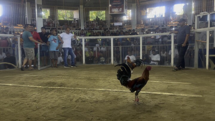 First fight 3hits tagas na pero naka last card pa  samen yung nasa wala