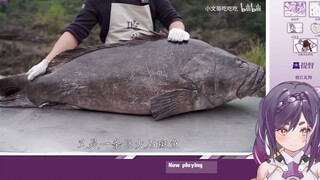 【りんうらん霖雨蘭】看小文哥视频后馋得光速下播的日本花魁