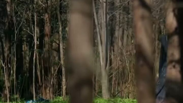 สืออวี่ โจรสาวทะลุมิติเป็นคุณหนูใหญ่ (จบ)