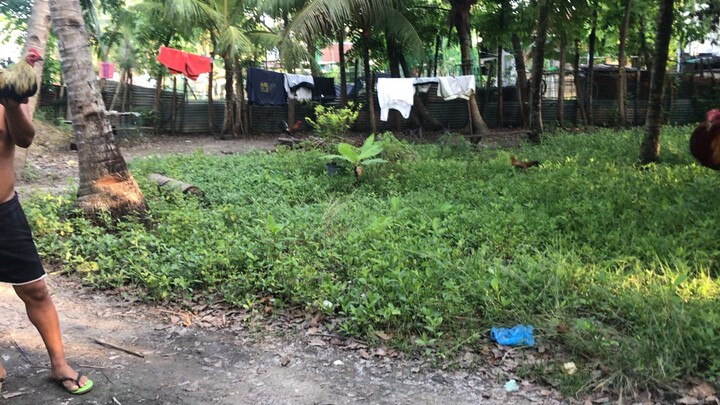 6x winner partida kanan tari💪🏻