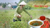 Bún Bò Cay - món ăn gia truyền 3 đời ở Bạc Liêu - Khói Lam Chiều #67 | Bac Lieu spicy beef noodles