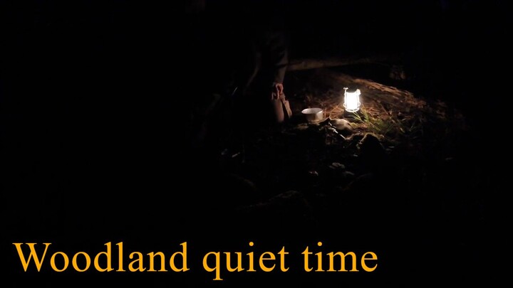 Woodland quiet time