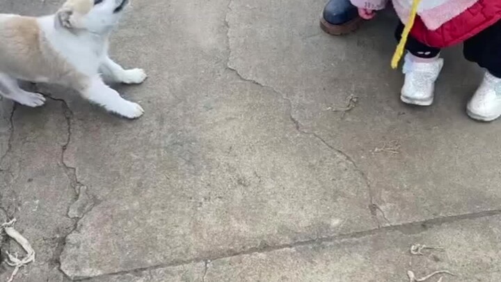 Ngoài em bé ra, bà và chú cún đều rất vui vẻ.