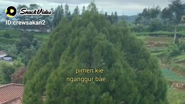 judulnya lagu india versi jawa