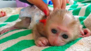 Tiny handsome boy Luca really loves when Mom gently comforts him, He keeps silent & manners