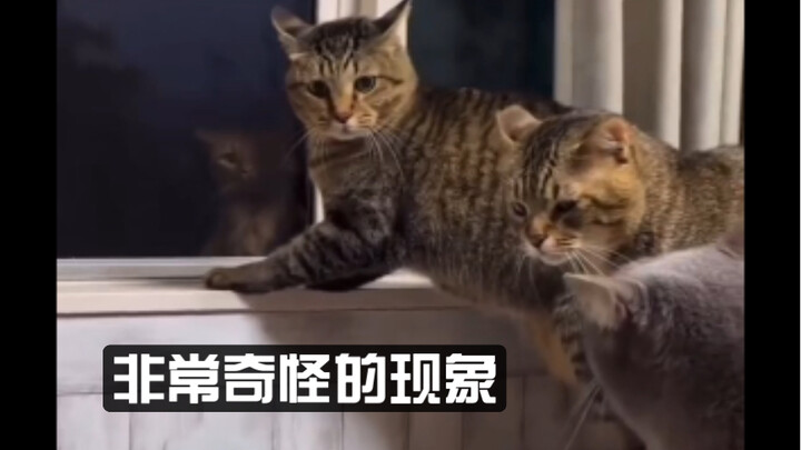 A very strange phenomenon