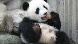 Siaran Makan si Panda