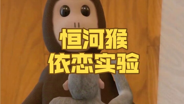 تجربة التعلق لدى قرود الريص