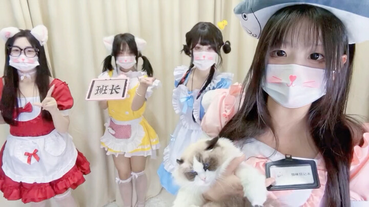 【สมุดบันทึกแมวถือป้าย】เพลงรบของหัวหน้าห้อง เริ่ม!