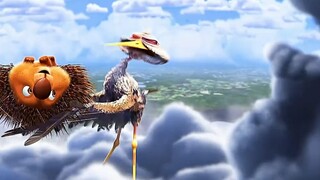 从未见过这么凄惨的鸟 直接被刺猬扎成了秃头