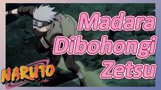 Madara Dibohongi Zetsu