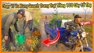 Chạy Vi Vu Xung Quanh Quang Linh Farm Trồng Hơn 100 Cây Bạch Đàn Anh Tiến Tặng