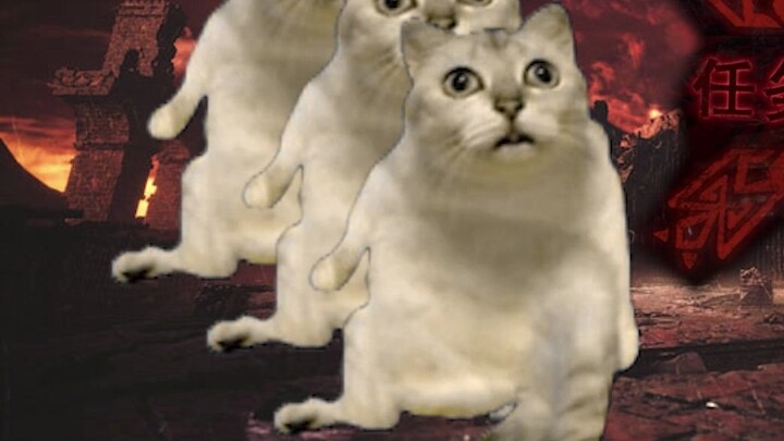 [Meme kucing] Apa yang dipikirkan lelaki tua ini yang telah memainkan Monster Hunter selama ratusan 