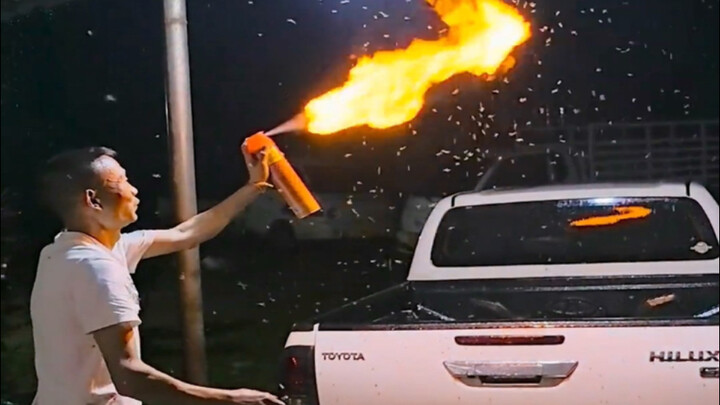 “Hardcore Mosquito-Slaying Epic Scene”