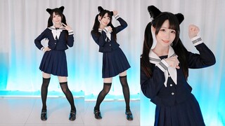 ลูกแมวมาจากไหน 【หยุนเหมียว】