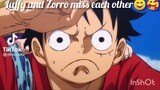 luffy and zorro miss each other😊🥰