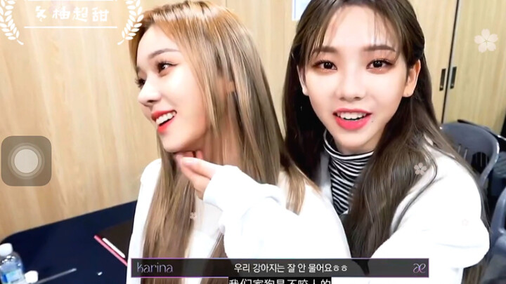 【Dongyou/cp-oriented】Dongdong: "Anjing kesayangan kakak adalah aku, lho～"