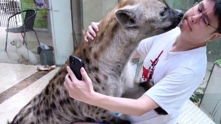 Orang, aku terima satu pukulan darimu.