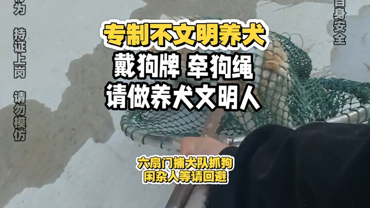 Walking a dog without a leash is illegal.