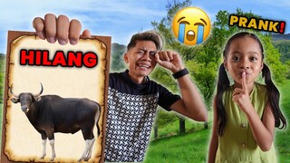 TOLOOONG SAPI KITA HILANG!! SEMUANYA PAN1K LANGSUNG TELPON POLISI!!