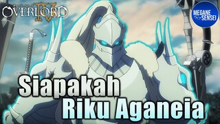 Siapakah Riku Aganeia yang Platinum Armor Sebutkan? #Overlord