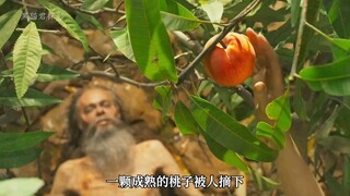 Trong thế giới hậu tận thế hạt nhân, một cô bé dần trở thành một nữ thần bạo lực. "Mad Max 5: Goddes