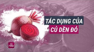 Củ dền đỏ: Loại thực phẩm đẹp mắt, ngon miệng, kho tàng dưỡng chất cho người thiếu máu | VTC Now