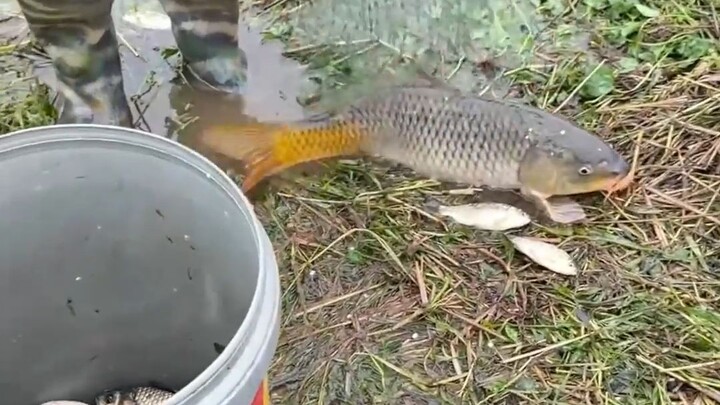 Isn’t this better than a fisherman?