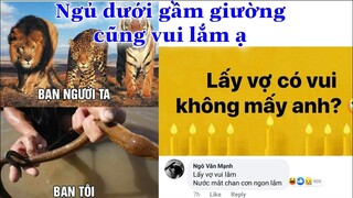 Lấy Vợ Có Gì Vui Không ?  Top Comments Hài Hước Face Book (p184)