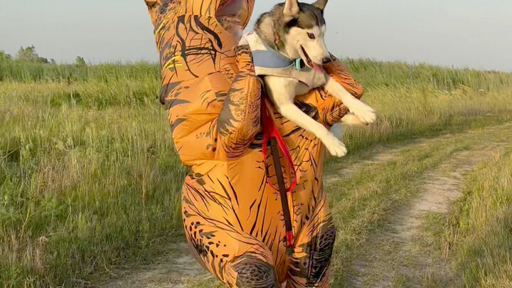 Dinosaur Carrying a Wolf