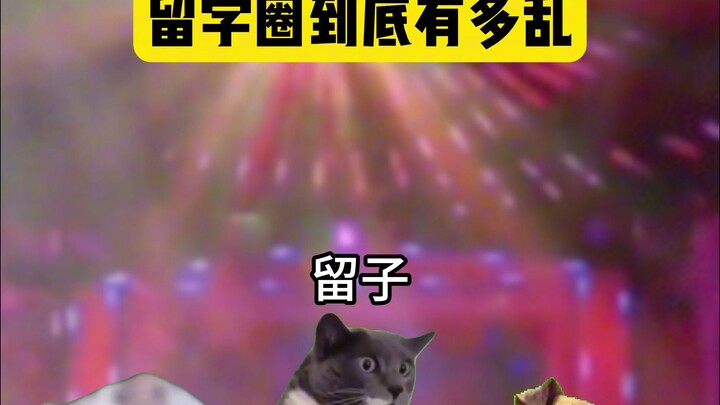 留子千万别碰，有些圈子不融也罢！belike