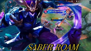 SABER ROAM IDAMAN POLSEK!