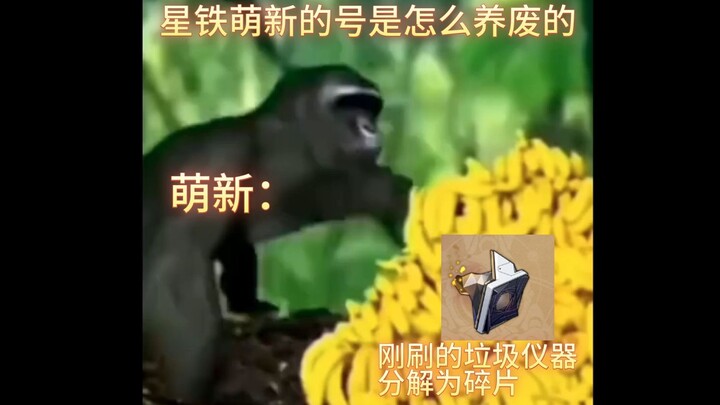 星铁萌新的号是怎么养废的belike