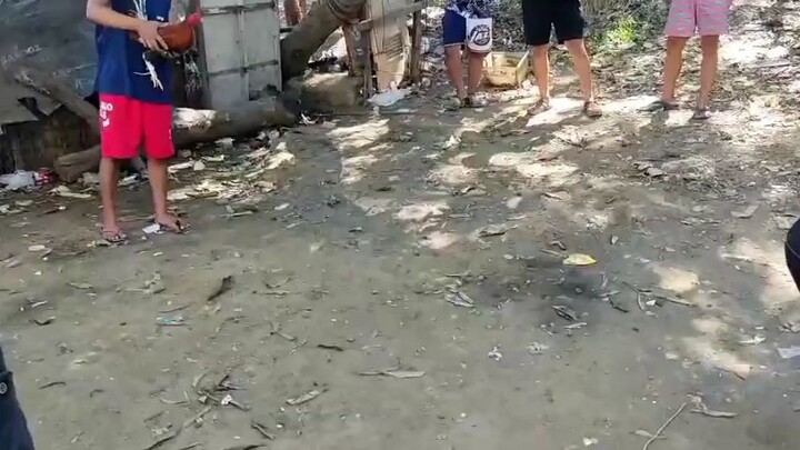 LIBANG LANG!!! Hirao Ang manok Namin, Malaki pa sa laban Ang pula pero sa pakpak lang nakasugat🔥