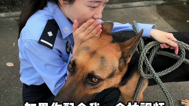 Are there any college students still available to help walk the police dogs??