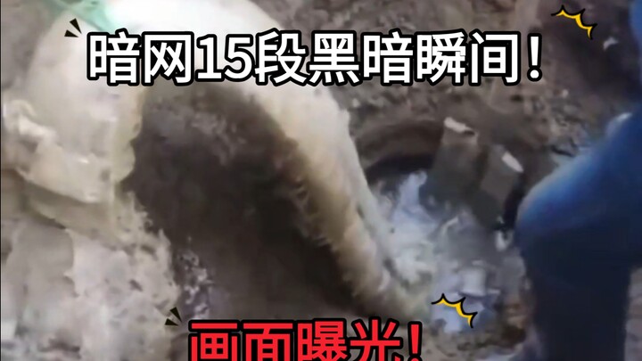 15 Dark Moments on the Dark Web! Graphic Footage Revealed!