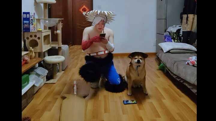 You’re trying to fool me like I’m a dog.