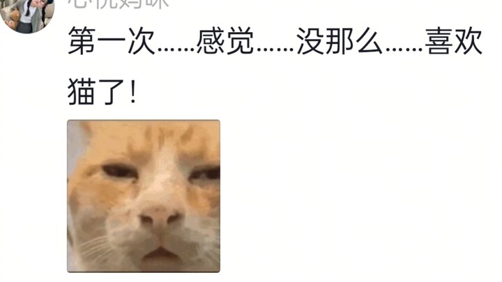 Rốt cuộc là ai muốn biết quá trình chế tạo chú mèo gián, thì bạn sẽ nhận được…