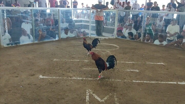 2HITS ULUTAN 1st FIGHT WIN!!!