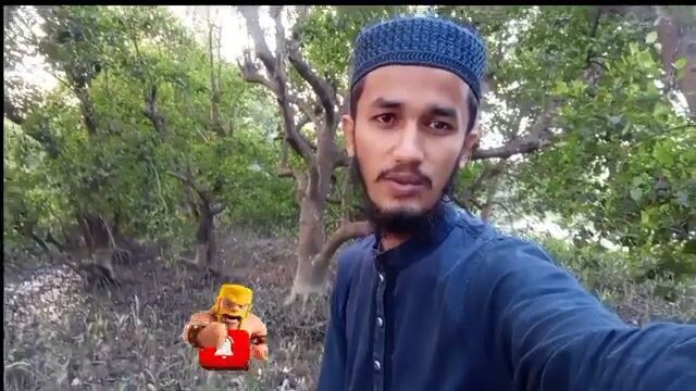 এইগুলো কি ফল_  আগে কখনো দেখেছেন_  Rare Fruit in Bangladesh(360P)