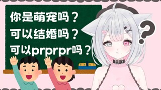 一问一答的小猫娘也太可爱了叭！！