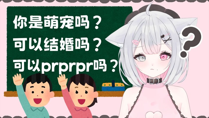 一问一答的小猫娘也太可爱了叭！！