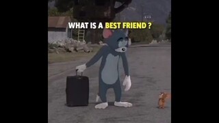 What is a Best Friend?