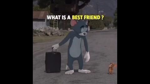 What is a Best Friend?