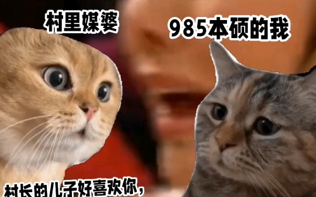 الوضع الحالي لخريجي الجامعات الـ985 الذين حصلوا على درجتي البكالوريوس والماجستير وعادوا للزواج في ال